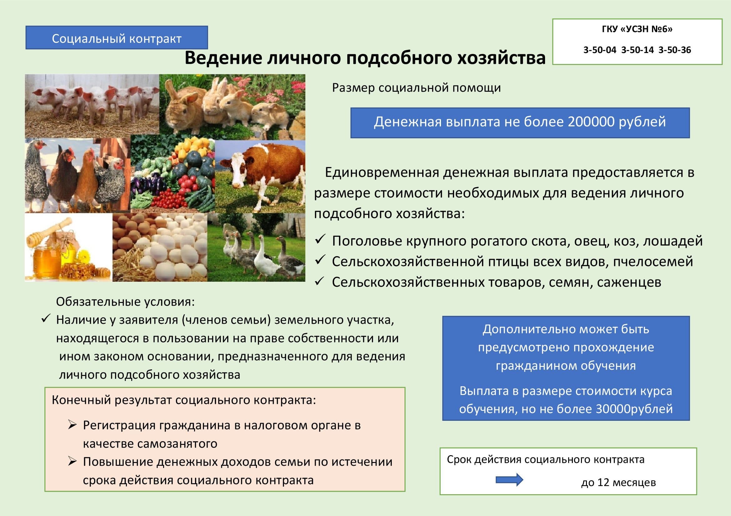 Администрация Шумихинского муниципального района | Управление социальной  защиты населения №6 информирует